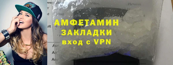 прущие грибы Верхний Тагил