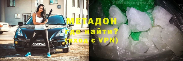 прущие грибы Верхний Тагил